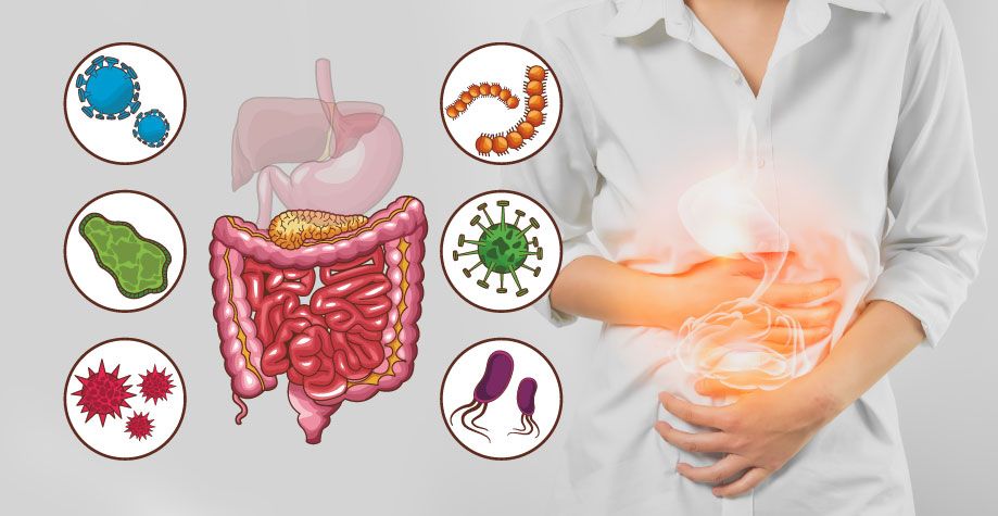 Дисбактериоз кишечника у взрослых – Бифилакт БИОТА
