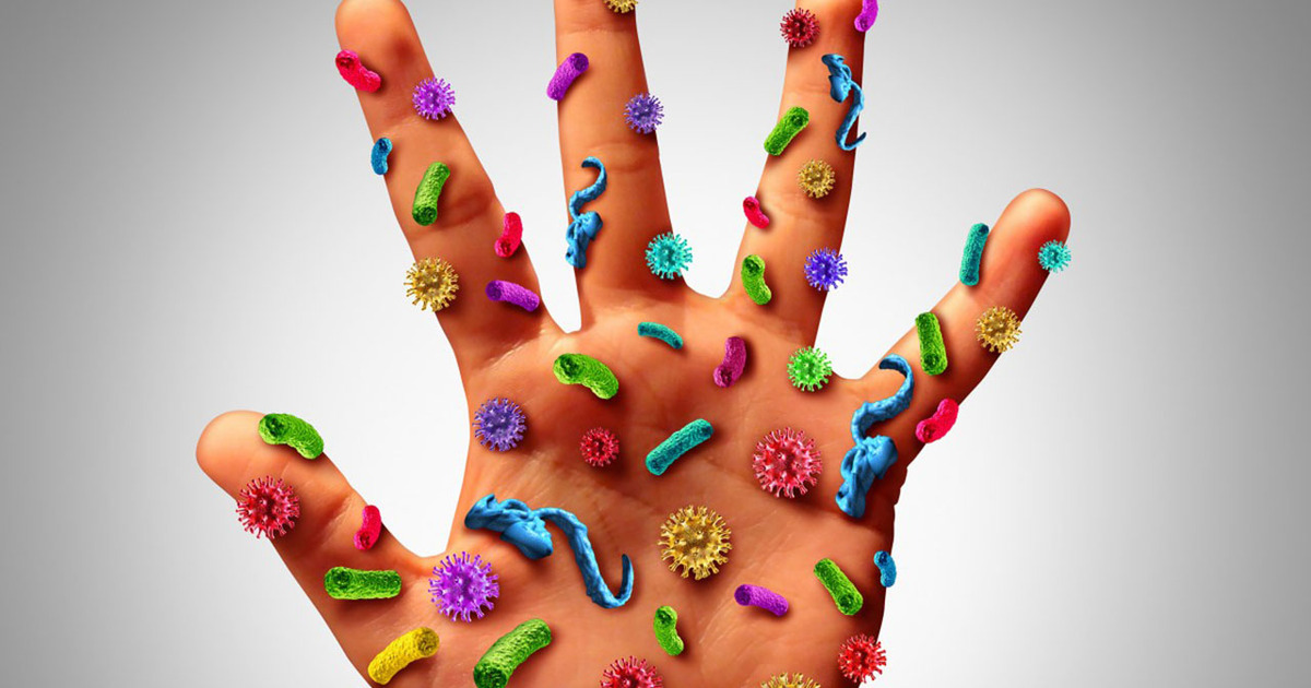 Микробы и вирусы, иммунитет и пробиотики при вирусной угрозе – Бифилакт БИОТА